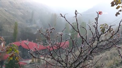  Kars sise büründü 