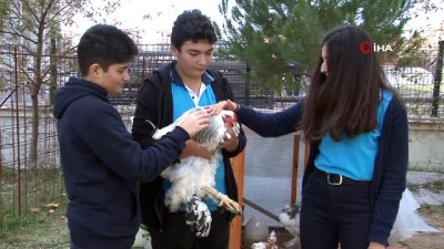  Liseyi tavukları ile okuyor... Tavuklarından vazgeçemeyen genç, lisenin bahçesine kümes kurdu 