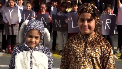 hayvan haklari - Minik öğrencilerin sokak hayvanları duyarlılığı - İSTANBUL  Videosu