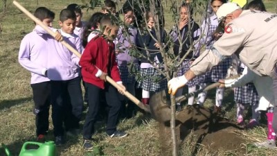 dogal urun -  Şehrin stresinden uzakta kendi sebze meyvelerini yetiştiriyorlar  Videosu