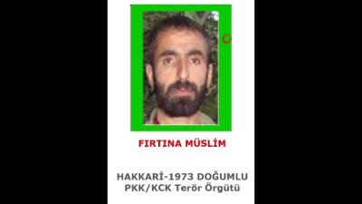  1 milyon TL ödülle aranan terörist etkisiz hale getirildi