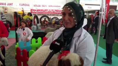  Adana’da Kuzu Güzellik Yarışması düzenlendi 