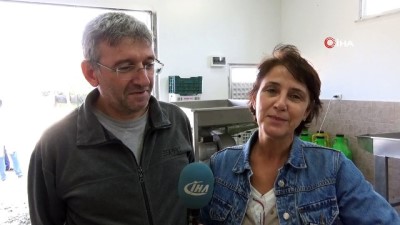 zeytin yagi -  Emekli çift zeytin yağı üretmek için üniversite okuyor  Videosu