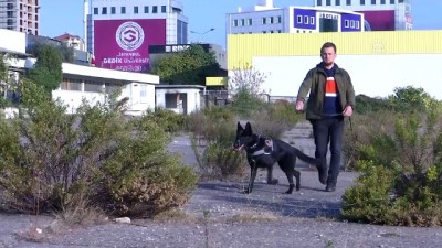Kartal'da helikopter destekli uyuşturucu operasyonu - İSTANBUL