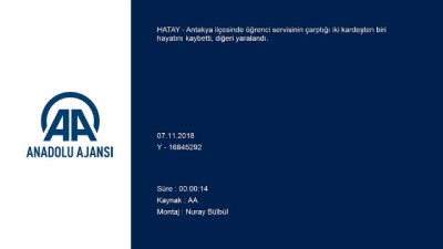 Minibüsün çarptığı iki kardeşten biri öldü - HATAY 