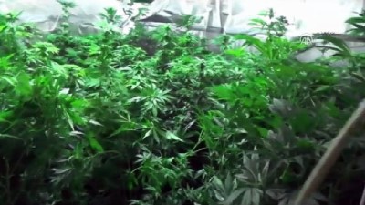 Uyuşturucu operasyonları - İSTANBUL