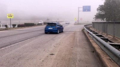 Yoğun sis - SAKARYA 