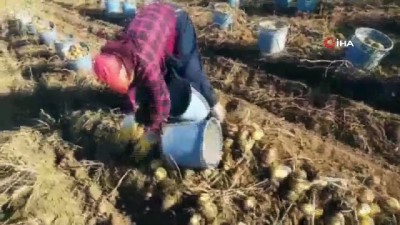 tarim iscisi -  Mevsimlik tarım işçilerinin eve dönüş sevinci Videosu