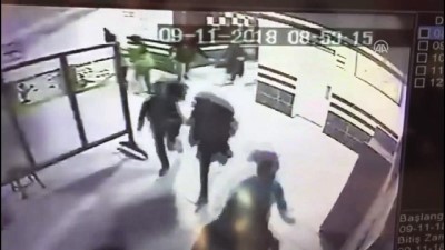 kopek - Okula giren pitbul polis ekiplerince vuruldu - KOCAELİ  Videosu