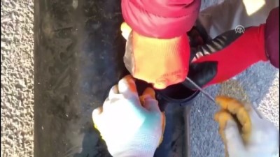 istihbarat - Yakıt deposundaki eroini 'Kurt' buldu - SİVAS  Videosu