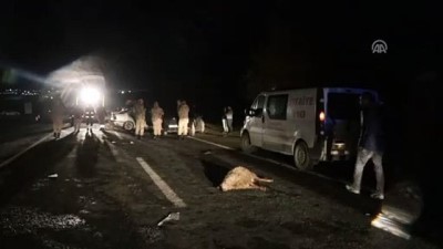 Iğdır'da iki otomobil çarpıştı: 7 yaralı