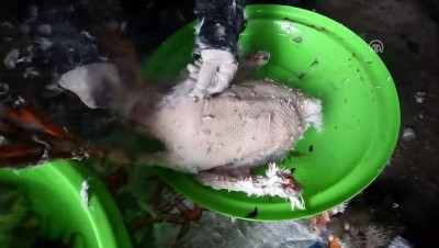 Kış sofralarının vazgeçilmez lezzetine 'kadın eli' değiyor - KARS 