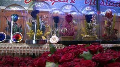  Bu gül 2 sene solmuyor