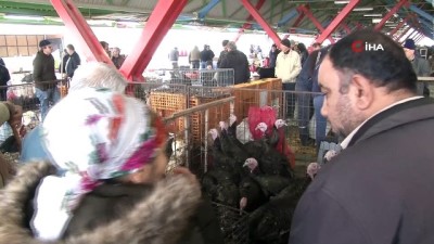  Hindiye bir zam daha yolda 