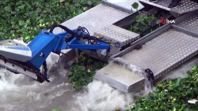 yagmurlu -  Yağmur altında su sümbülleriyle mücadele  Videosu