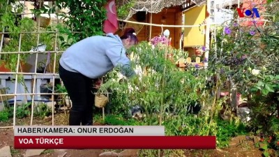 Beton Çölünde Bir Vaha