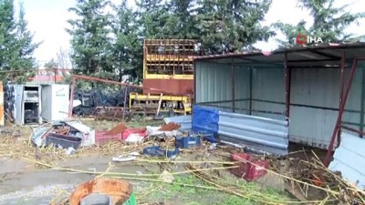  Hatay’da sele kapılan hayvanlar telef oldu 