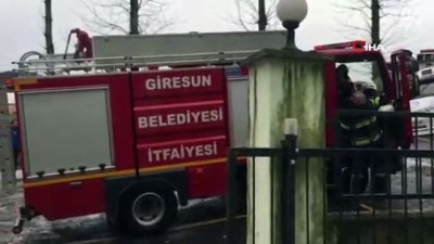  Rüzgara dayanamayan ağaç elektrik tellerine devrildi 