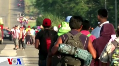 VOA Türkçe Haberler 23 Kasım