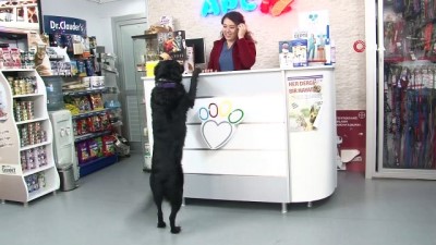 fenomen -  Muayenedeki rahat tavırlarıyla fenomen oldu  Videosu