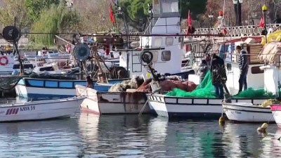 alamut - Tezgahın gözdesi çinekop - TEKİRDAĞ  Videosu