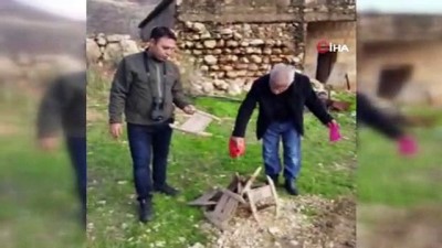 kacak -  Siirt’te 15 göç kekliği tuzağı ele geçirildi  Videosu