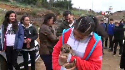 mantar toplama -  Anneleri telef edilen 6 yavru köpeğe 3 çocuk annesi kadın sahip çıktı  Videosu