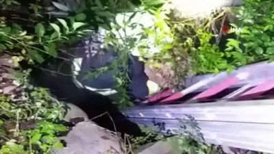 sokak kopegi -  Kuyuya düşen köpeği itfaiye kurtardı  Videosu