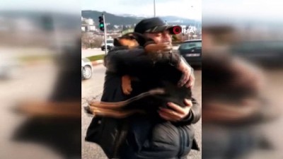 engelli genc -  Engelli Ferhat'ın yavru köpek sevgisi yürekleri ısıttı  Videosu