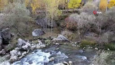 vasak -  Koruma altındaki su samuru görüntülendi  Videosu