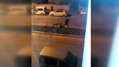 sokak kopekleri -  Magandalar köpekleri kemerle dövdü Videosu