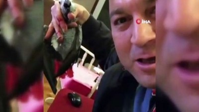 savcilik sorgusu -  Papağana işkence yapan Murat Özdemir akıl hastanesine sevk edildi Videosu