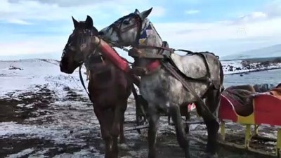 kar yagisi - Çıldır Gölü'nün atlı kızakçıları kış sezonunu açtı - ARDAHAN  Videosu