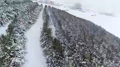 buz sarkitlari - Palandöken Kayak Merkezi'nden kar manzaraları - ERZURUM  Videosu