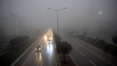 cakal - Yurtta kış - KİLİS  Videosu