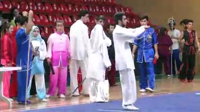 Geleneksel Wushu Kung Fu Türkiye Şampiyonası - SAKARYA