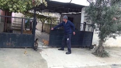 Kedi-köpek dostluğu - MANİSA