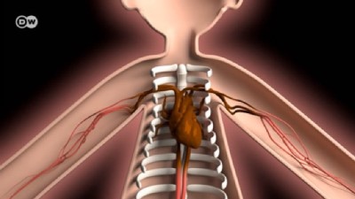 Neden yaşlanıyoruz? 