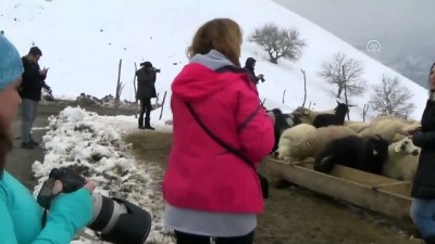eziler - Fotoğraf sanatçıları kış güzelliklerini görüntüledi - MUŞ Videosu