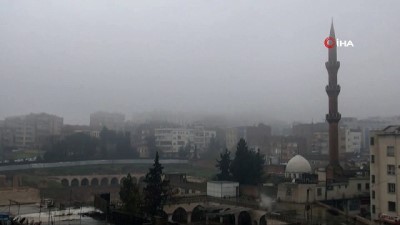cakal -  Şanlıurfa’da yoğun sis etkili oluyor  Videosu