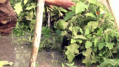 saganak yagis -  Türkiye’nin kışlık sebze üretim merkezinde sular altında kalan seralar havadan görüntülendi  Videosu