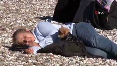 gunesli hava -  Yağmur ve fırtınanın ardından güneşi görenler çakıl taşlarına uzanıp uyudu Videosu