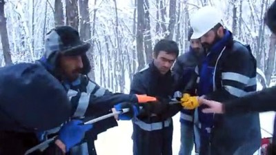 akarca - Ovacıklılar elektriksiz kalmasın diye kar kış dinlemiyorlar - TUNCELİ  Videosu