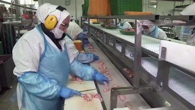 ihracat rakamlari - Tavuk ve yumurta ihracatı milyar dolara yaklaştı - İZMİR  Videosu