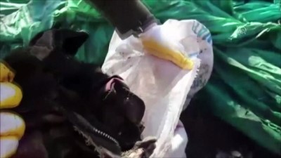 istihbarat - Diyarbakır'da terör operasyonu  Videosu