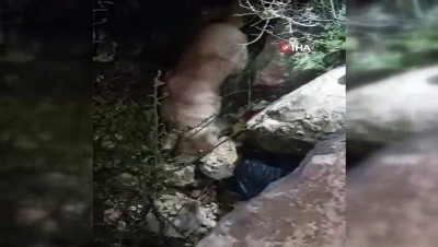 uyusturucu madde -  Hatay'da toprağa gömülü halde 7 kilogram uyuşturucu ele geçirildi Videosu