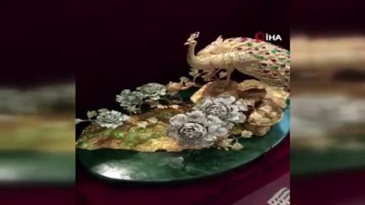 internet sitesi -  İstanbul’da 2 milyon değerindeki tavus kuşu operasyonu  Videosu