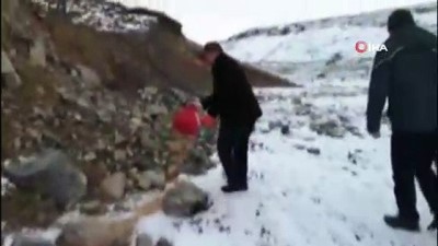 yasam mucadelesi -  Yaban ördekleri Kars Çayı'nı mesken tuttu  Videosu