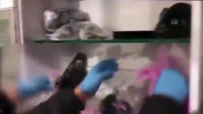 uyusturucu madde - Başakşehir'de uyuşturucu operasyonu - İSTANBUL Videosu