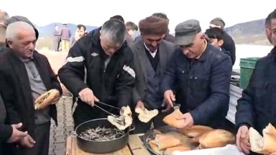 beraberlik - Hamsi şenliği - ORDU  Videosu